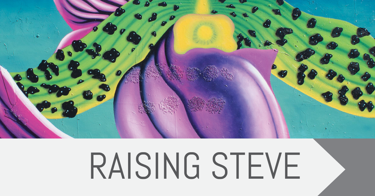 raisingsteve_article_cover