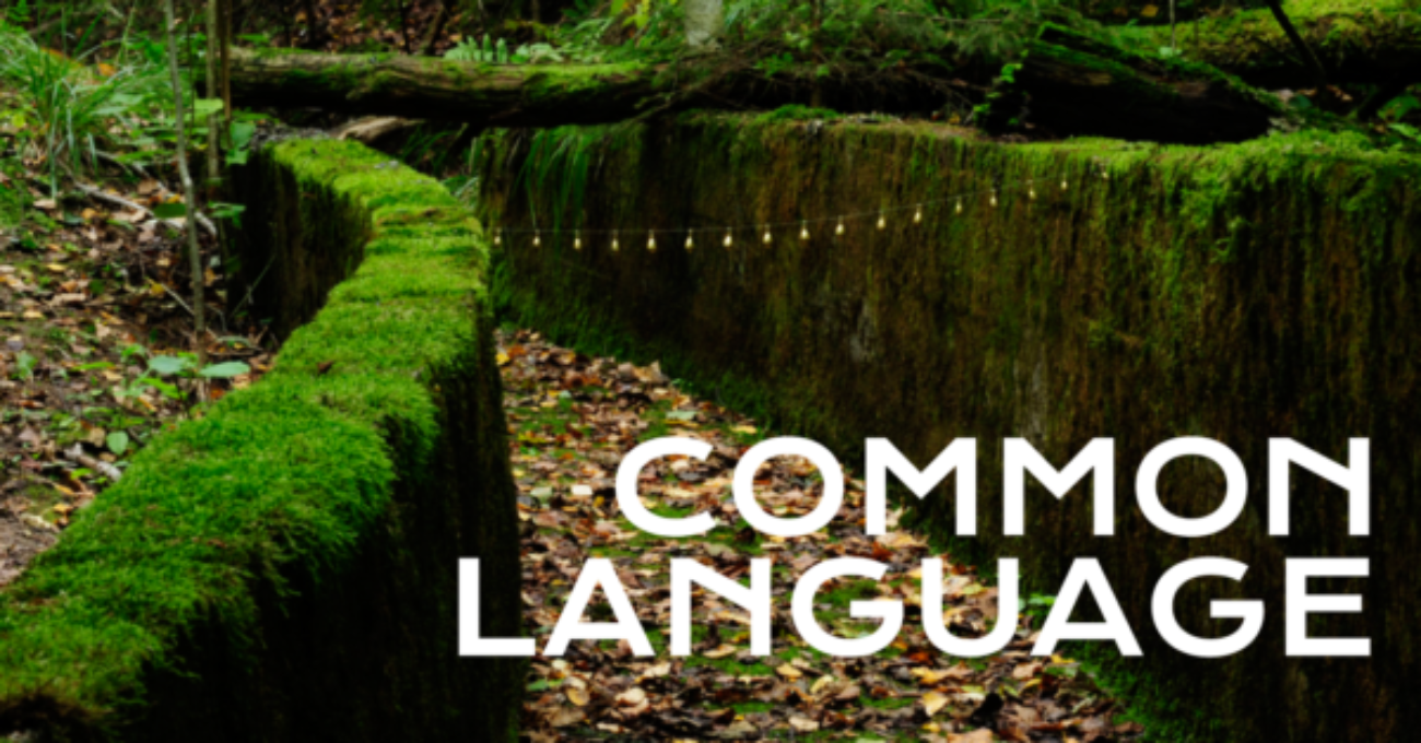 commonlang_cover
